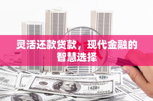 宜州灵活还款贷款，现代金融的智慧选择