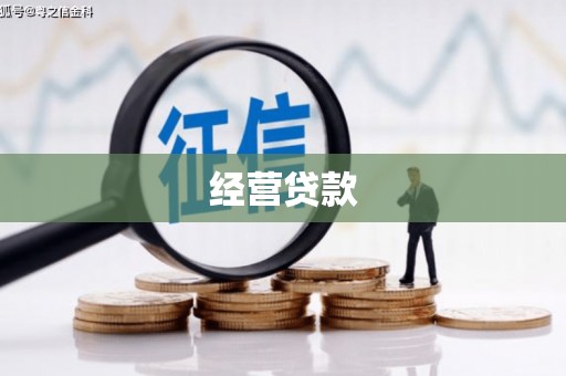 宜州经营贷款