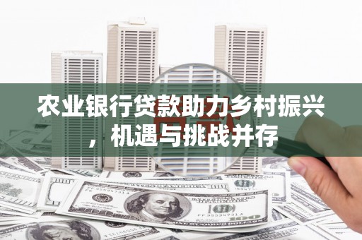 宜州农业银行贷款助力乡村振兴，机遇与挑战并存