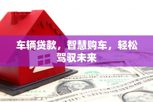 宜州车辆贷款，智慧购车，轻松驾驭未来