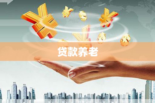 宜州贷款养老