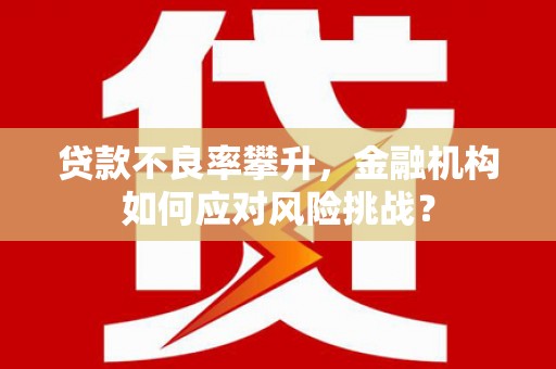 宜州贷款不良率攀升，金融机构如何应对风险挑战？
