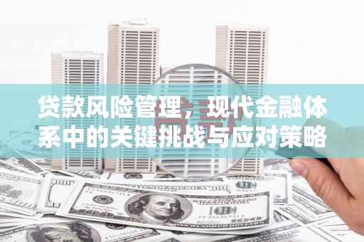 宜州贷款风险管理，现代金融体系中的关键挑战与应对策略