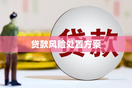 宜州贷款风险处置方案
