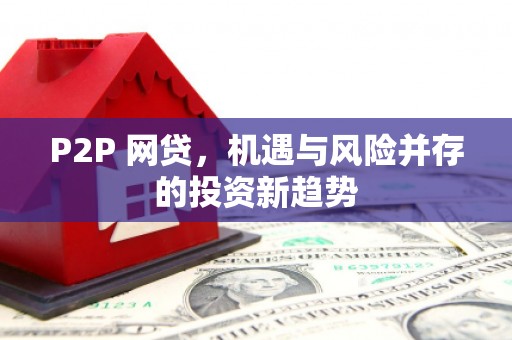 宜州P2P 网贷，机遇与风险并存的投资新趋势
