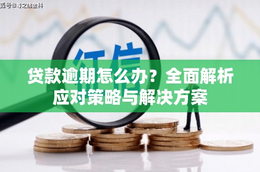 宜州贷款逾期怎么办？全面解析应对策略与解决方案