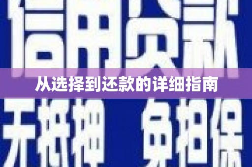 宜州从选择到还款的详细指南