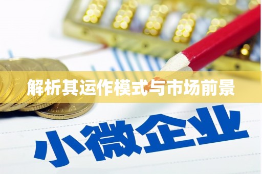 宜州解析其运作模式与市场前景